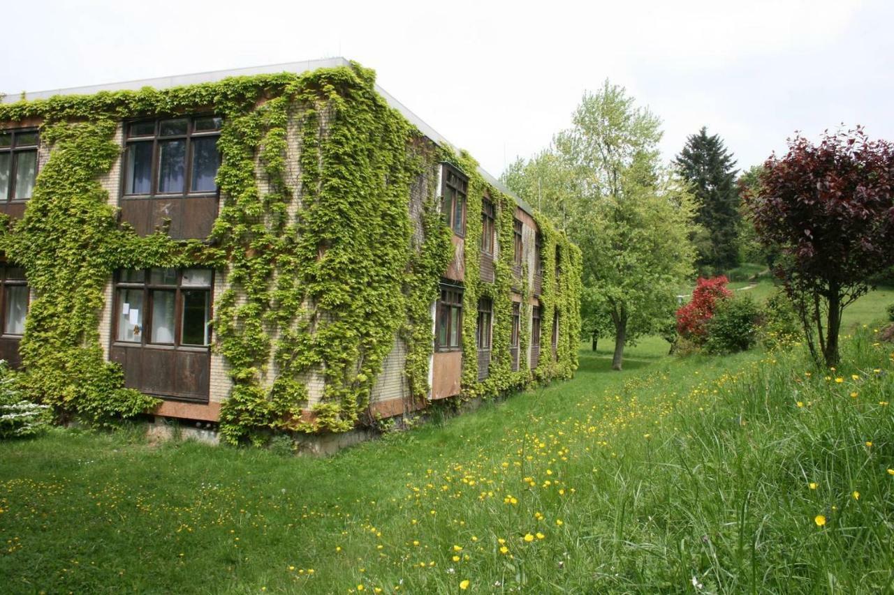Parkblick Appartement - Entspannung Pur! Ober-Hambach Экстерьер фото